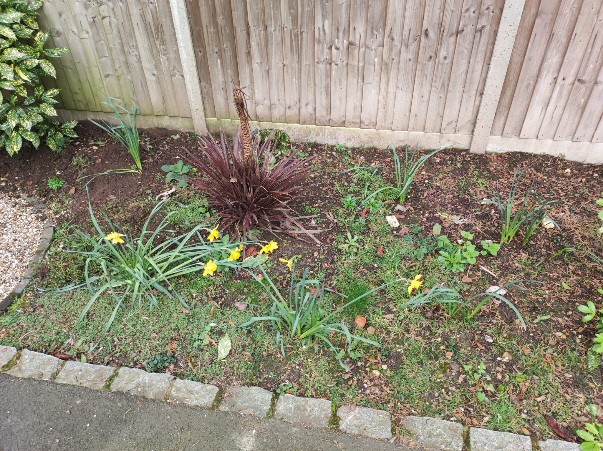 Electric Gate Wiring